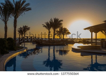 Great sunset on the luxurious beach against the background of the beauty of the sea with coral reefs. beach with palm tree at the shore of Red Sea in Marsa Alam, Egypt, Africa in summer hot. 
