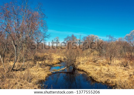 Spring landscape with forest river