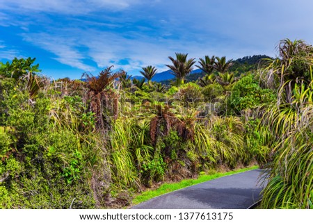 Incredible journey to the ends of the world. Paparoa National Park, New Zealand. Footpath in the park. The concept of ecological, active and photo tourism