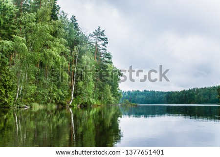silver surface of a calm lake with forest shore