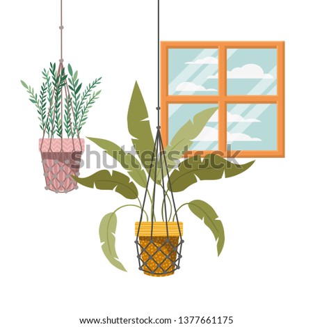 houseplants on macrame hangers icon