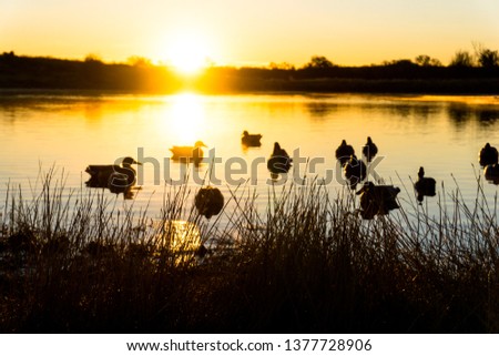 Duck hunting scenes