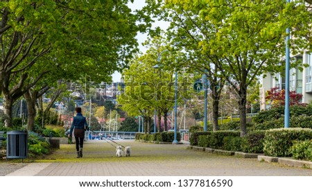 Vancouver, British Columbia, Canada. Woman walking her small dogs, holding the leash surrounded by beautiful nature around the city`s down-town.