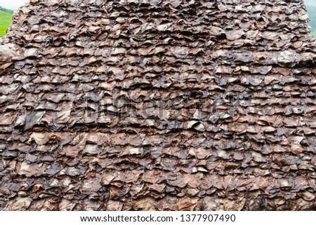 The roof of leaves,natural roof prevent heatwave.