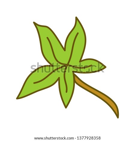 Leaf Tropical Design Illustration Template Vector
