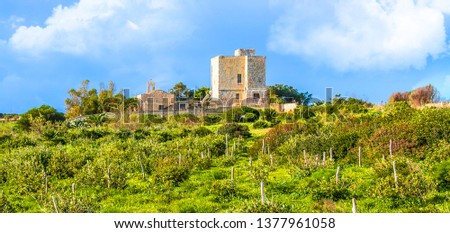 Ancient stone building in the countryside with a vineyard