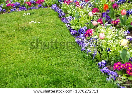 Springtime gardening background. French garden in spring. Colorful flowerbed in park with tulip, bellis, pansy, daisy, viola flowers and green vivid lawn. Diversity and order abstract concepts.