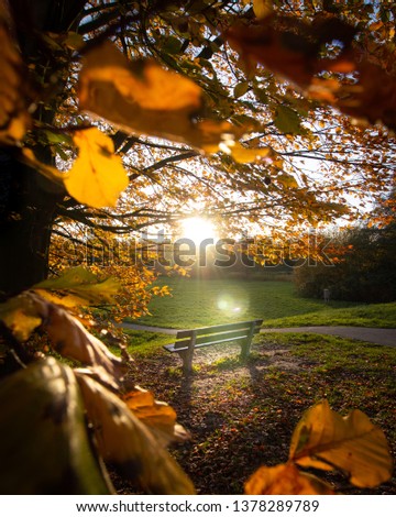 a bench in sunlight on a sunny autumn day