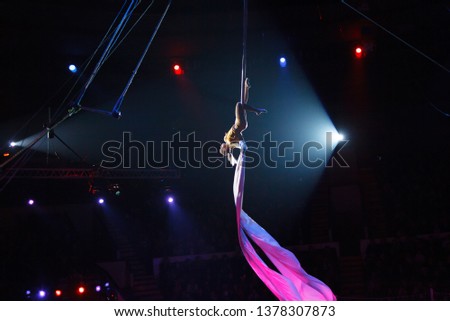 performance of air acrobats in the circus.