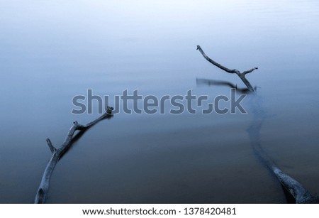 Calming photo of two branches in a lake