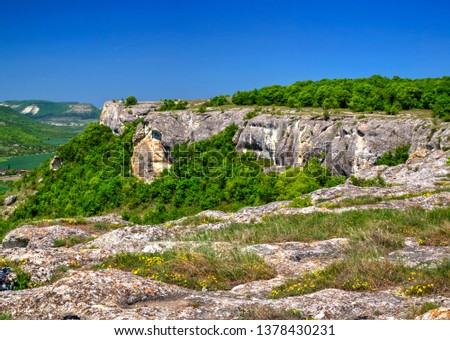 Beautiful summer landscape with fresh green forest and blue sky - panoramic view