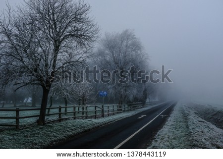 Heavy fog on country road