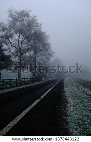 foggy country track 