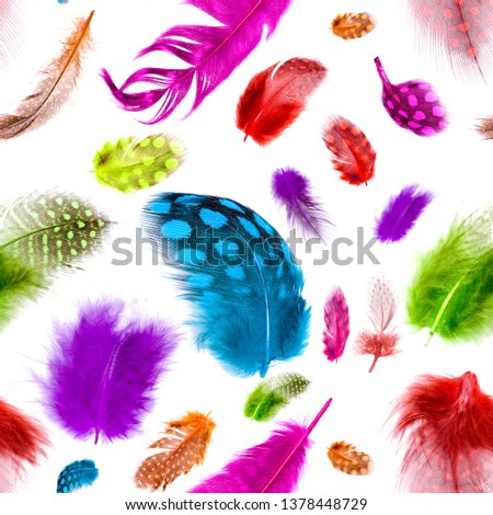 multicolored feathers seamless pattern. isolated on white background