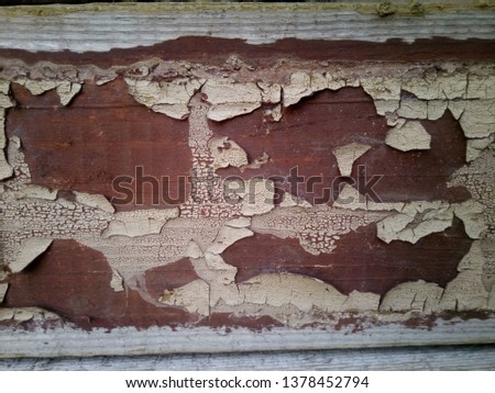 Vintage texture old wood background. Shabby color wood texture. Retro wooden grain floor.