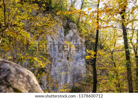Autumn forest in mountains 