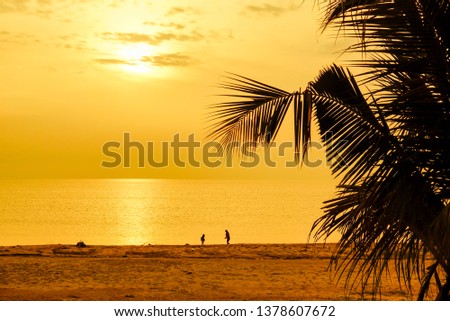 Beautiful Sunrise with coconut palm tree silhouette and  privacy