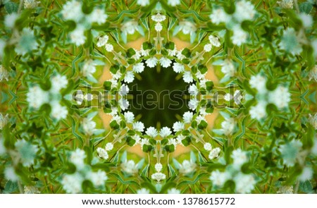 Kaleidoscope effect applied on flowers and grass image