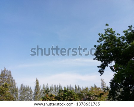 Trees and clouds against bright blue sky background.
Natural beautiful midday sky background and copy space concept.