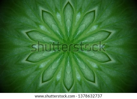 Kaleidoscope effect applied on an image of a green leaf
