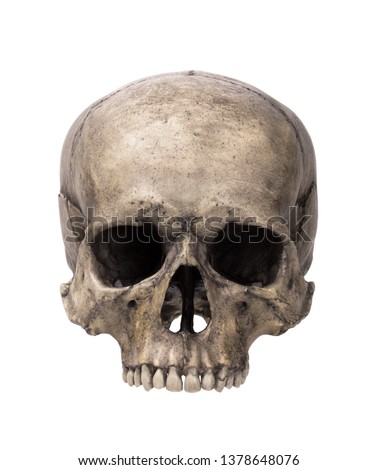Human skull, isolated Royalty-Free Stock Photo #1378648076