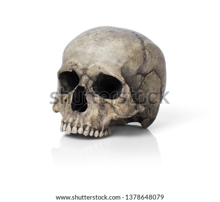 Human skull, isolated Royalty-Free Stock Photo #1378648079