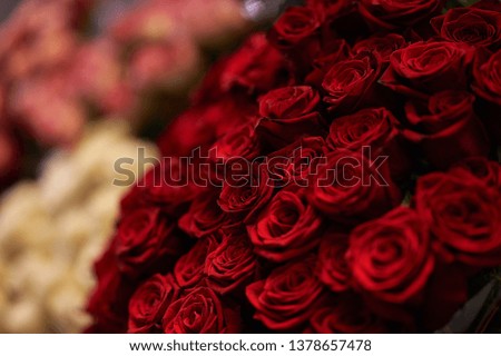 bouquet of roses, closeup