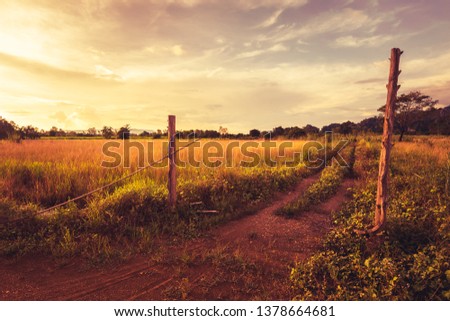 Field and dirt road at the old entrance of abandoned farm in countryside, vintage photo style