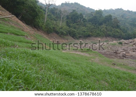  river surround with green forest that reflecting on brown water surface after raining in rainy season