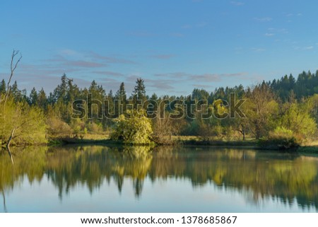 Calm Water With Green And Blue Colors Along Mud Bay In Early Spring Morning