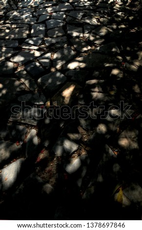A deeply shaded pathway through a garden. Underexposed to highlight the piercing sunlight casting dappled pools of light upon the paving and the delightful pattern it creates.