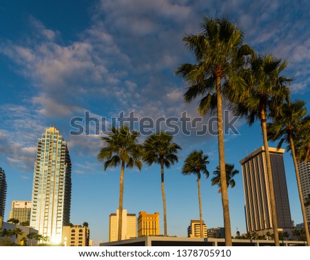 Skyscrapers in downtown Tampa at sunset. Florida, USA