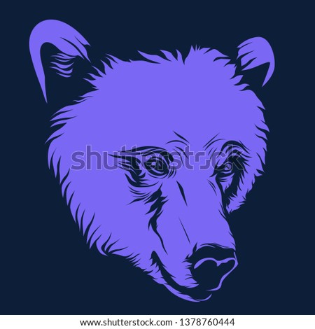 bear head illustration