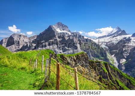 Morning view on Bernese range with Mounch, Eiger Faulhorn and Reti peaks. Popular tourist attraction. Location place Swiss alps, Grindelwald valley, Europe. Artistic picture.