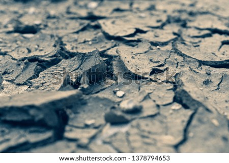 Parched ground close up, copy space. Cracks on the surface of the earth. Lack of moisture, lack of water.
