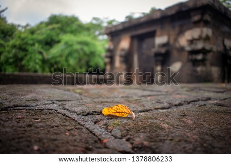 An orange leaf fallen on the ground in front of some ancient structure and it's main focus in this picture. In the blurry background there is the old structure and green trees. 