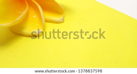Close Yellow Background with Frangipani, Element Design for message, quote, information text placement