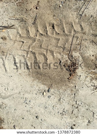 Dry dirt with machine tracks and fire ants.