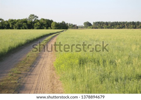 open spaces of the field.  road