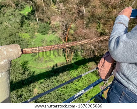Woman takes pictures of greenery after San Diego winter rainstorm, from a suspension bridge over a valley