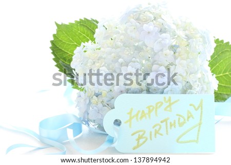 pastel blue hydrangea and birthday card for early summer background image