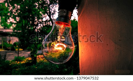 a best and beautiful breath taking pic of a classic bulb in a way in a house ,with parfect natural blur background