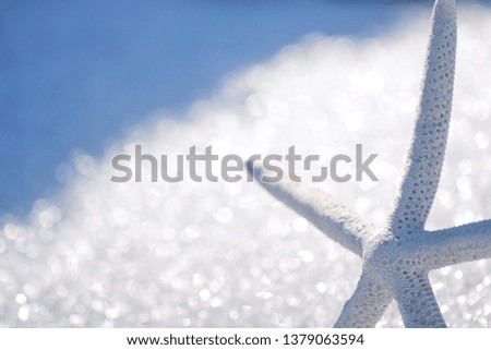 Starfish on a sparkling silver background. Starfish on a background of flare illuminated by the sun. Dry white starfish on a beautiful background.