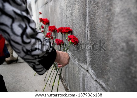 Red carnations flowers seen on the memorial stone