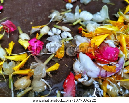Thai traditional colorful flower for Songkran festival or Thai New Year's national holiday Royalty-Free Stock Photo #1379096222