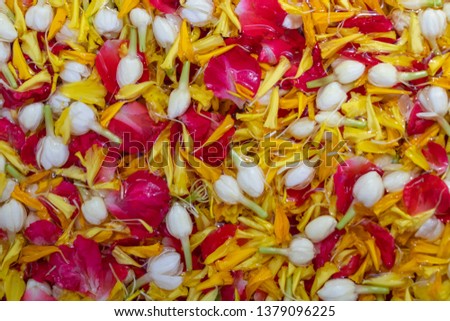 Thai traditional colorful flower for Songkran festival or Thai New Year's national holiday Royalty-Free Stock Photo #1379096225