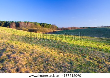 green meadow on hill