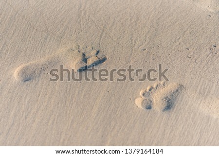 Footprints on the sand in the beach with sunlight in the morning, Textures, Background