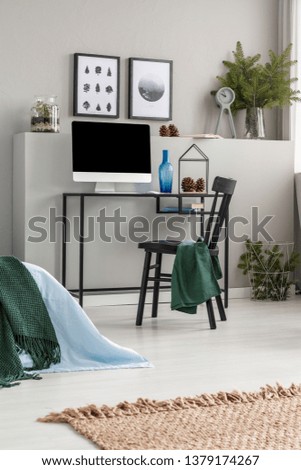 Branches of spruce in glass vases in classy bedroom and workspace for teenager, real photo with posters on empty grey wall