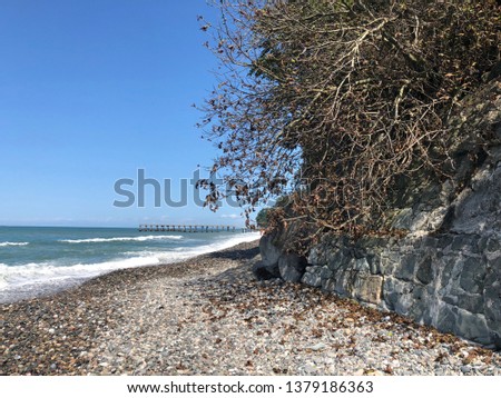 Rocky shore with dry plants. Black Sea. Rest in Georgia. Rocky beach in Batumi. Big waves at sea.
